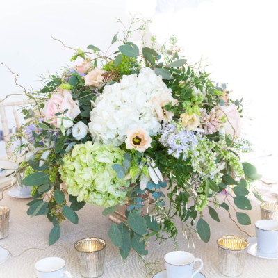 Kew Gardens Showcase – First Centres 1 edit copy