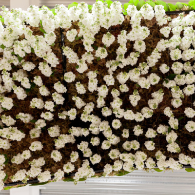 British-Flowers-Week-2017-Mary-Jane-Vaughan-hanging-installation-New-Covent-Garden-Flower-Market (7)