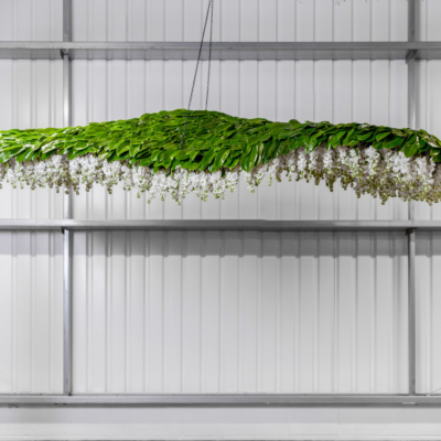 Mary_Jane_Vaughan_Zaha_Hadid_Flower_Canopy