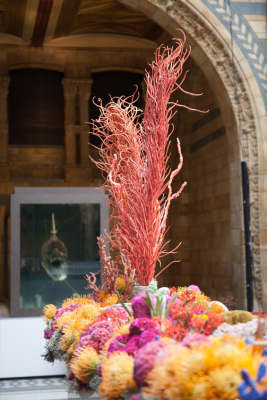 NHM_Hintze_Opening_Event_Flowers-0156
