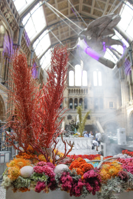 NHM_Hintze_Opening_Event_Flowers-0174