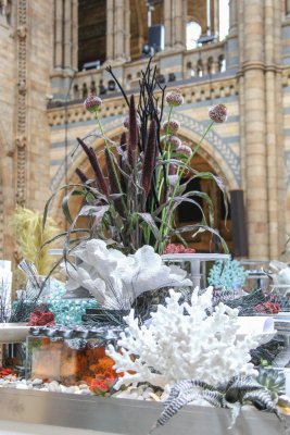 NHM_Hintze_Opening_Event_Flowers-0191