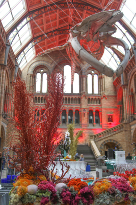 NHM_Hintze_Opening_Event_Flowers-0225