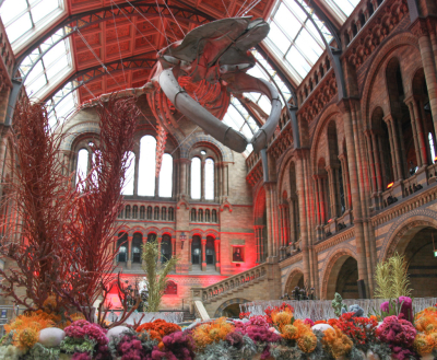 NHM_Hintze_Opening_Event_Flowers-0226