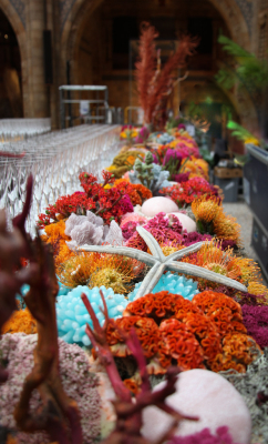 NHM_Hintze_Opening_Event_Flowers-0230