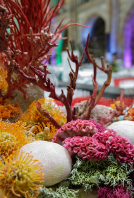 NHM_Hintze_Opening_Event_Flowers-0241