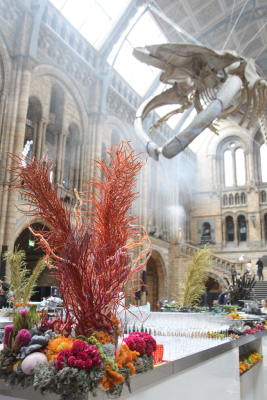 NHM_Hintze_Opening_Event_Flowers-0287