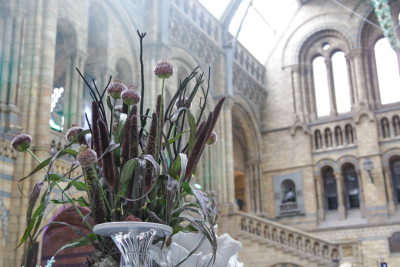 NHM_Hintze_Opening_Event_Flowers-0306