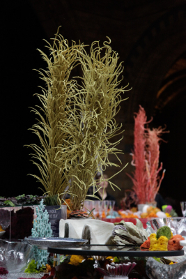 NHM_Hintze_Opening_Event_Flowers-0321