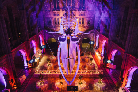 NHM_Luxury_Wedding-109