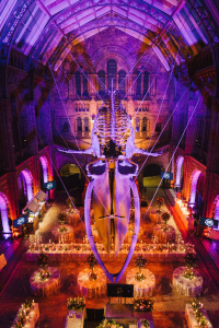 NHM_Luxury_Wedding-111