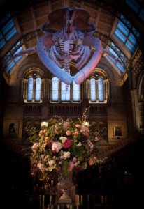 NHM_Luxury_Wedding-2843