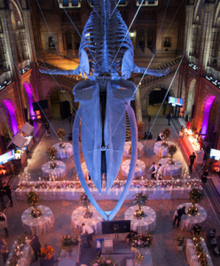 NHM_Luxury_Wedding-2955