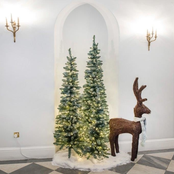 Chandos_House_Christmas_Trees_Reindeer_Display