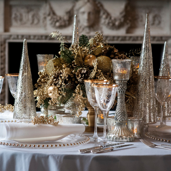 Chiswick_House_Christmas_Photo_Shoot_Gold_Silver_1