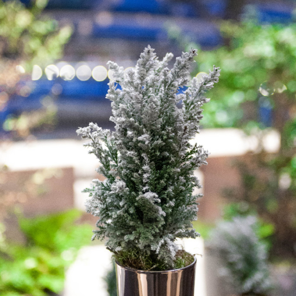Sky_Garden_Christmas_Mary_Jane_Vaughan_London_Florist_8264