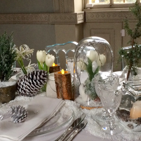 bell jars, snow etc long table 2