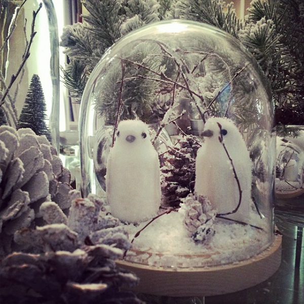 penguins