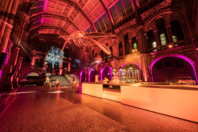 twobytwo_NHM_Showcase_0024