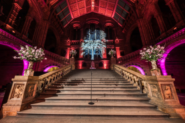 twobytwo_NHM_Showcase_0030