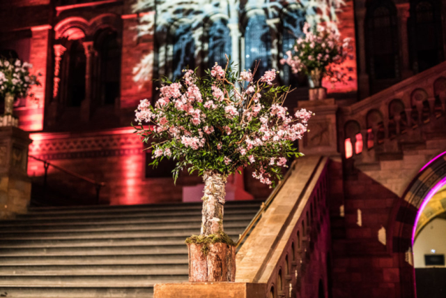 twobytwo_NHM_Showcase_0035