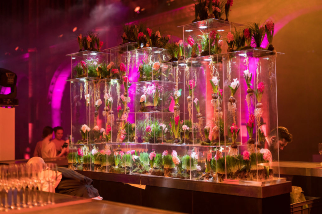 twobytwo_NHM_Showcase_0050