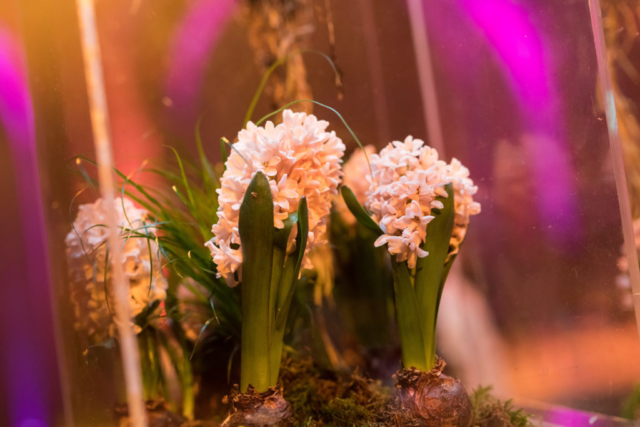 twobytwo_NHM_Showcase_0059