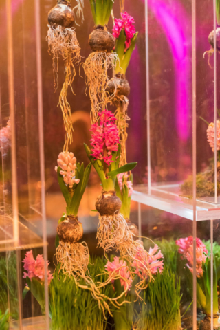 twobytwo_NHM_Showcase_0060