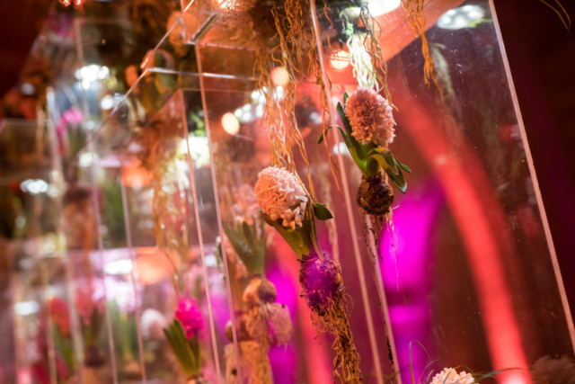 twobytwo_NHM_Showcase_0063
