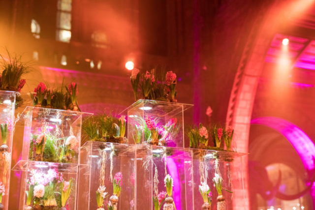 twobytwo_NHM_Showcase_0066
