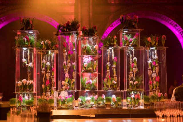 twobytwo_NHM_Showcase_0080