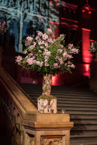 twobytwo_NHM_Showcase_0094