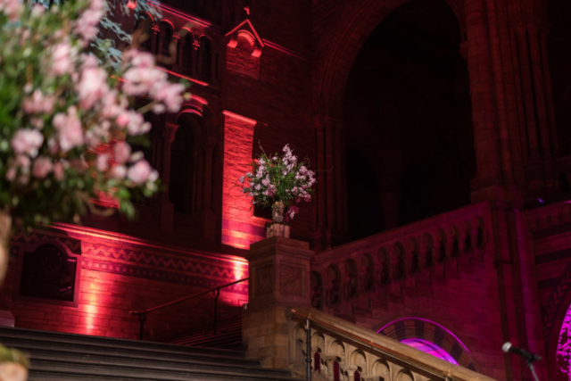 twobytwo_NHM_Showcase_0095