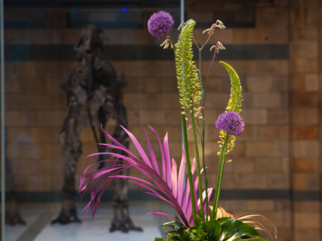 NHM-Origami-Wedding-8301