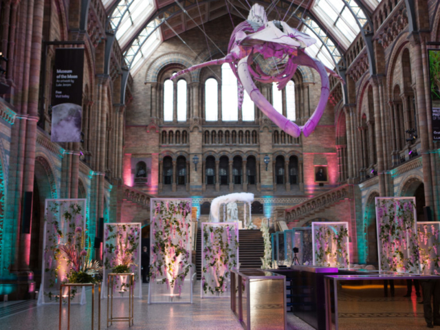 NHM-Origami-Wedding-8330