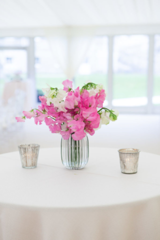Wrotham-Park-Wedding-June-19-8503