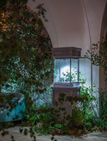 Mary-Jane-Vaughan-Banqueting-House-Harrods-July2019-8924