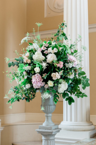 Syon-Park-338