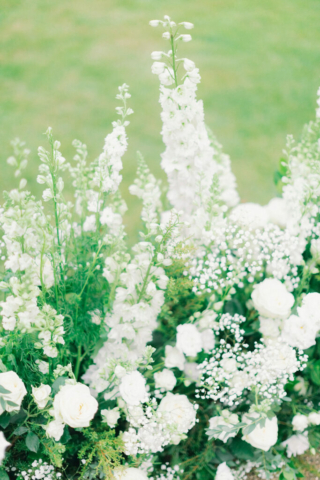 Chiswick House Conservatory - Claire & James (14)