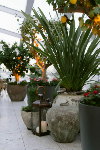 SkyGardens_April_2022_104