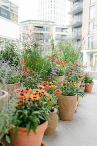 mjv-chelsea-design-centre-philippa-sian-photography-32