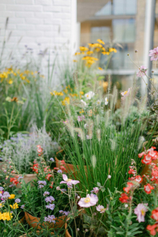 mjv-chelsea-design-centre-philippa-sian-photography-33