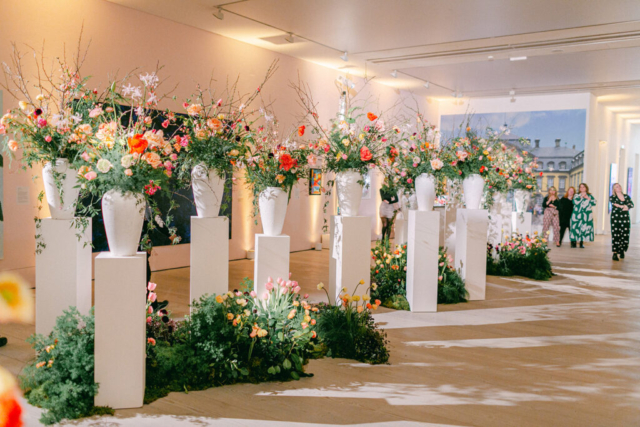 MJV at The Saatchi Gallery