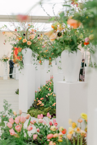 MJV at The Saatchi Gallery