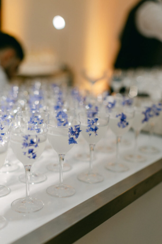MJV at The Saatchi Gallery