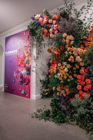 MJV @ Saatchi Gallery