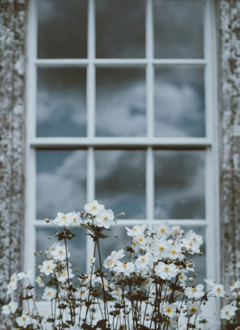 annie-spratt-GPBWUVZgCkA-unsplash