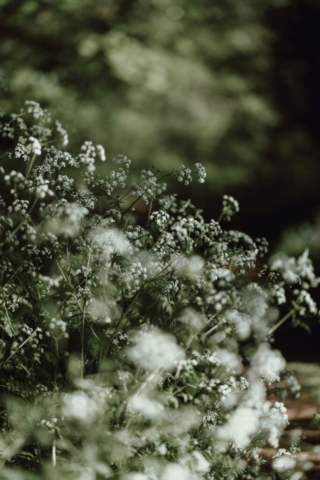 annie-spratt-tk_iYo7J2OI-unsplash